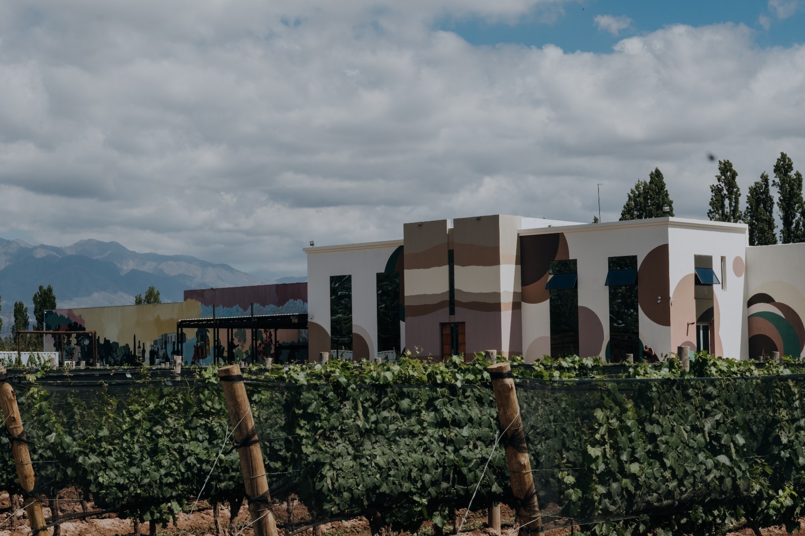 Mauricio Lorca apuesta a un nuevo segmento y lanza vinos de baja graduaci&oacute;n para conquistar a otro consumidor